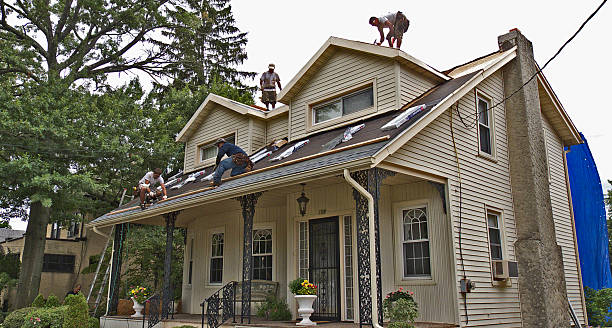 Best Flat Roof Repair Services  in Paonia, CO