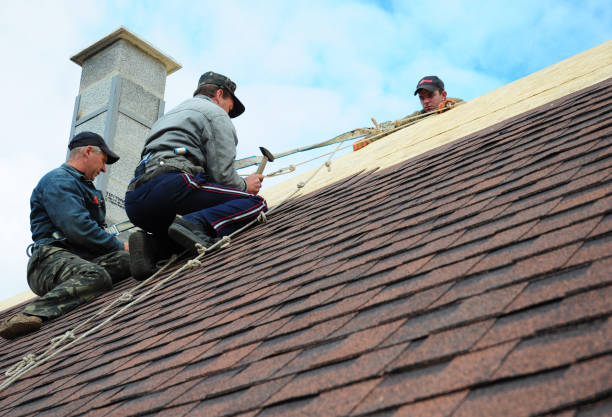 Quick and Trustworthy Emergency Roof Repair Services in Paonia, CO