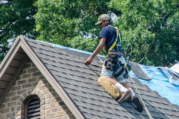 Best Local Roofing Companies  in Paonia, CO